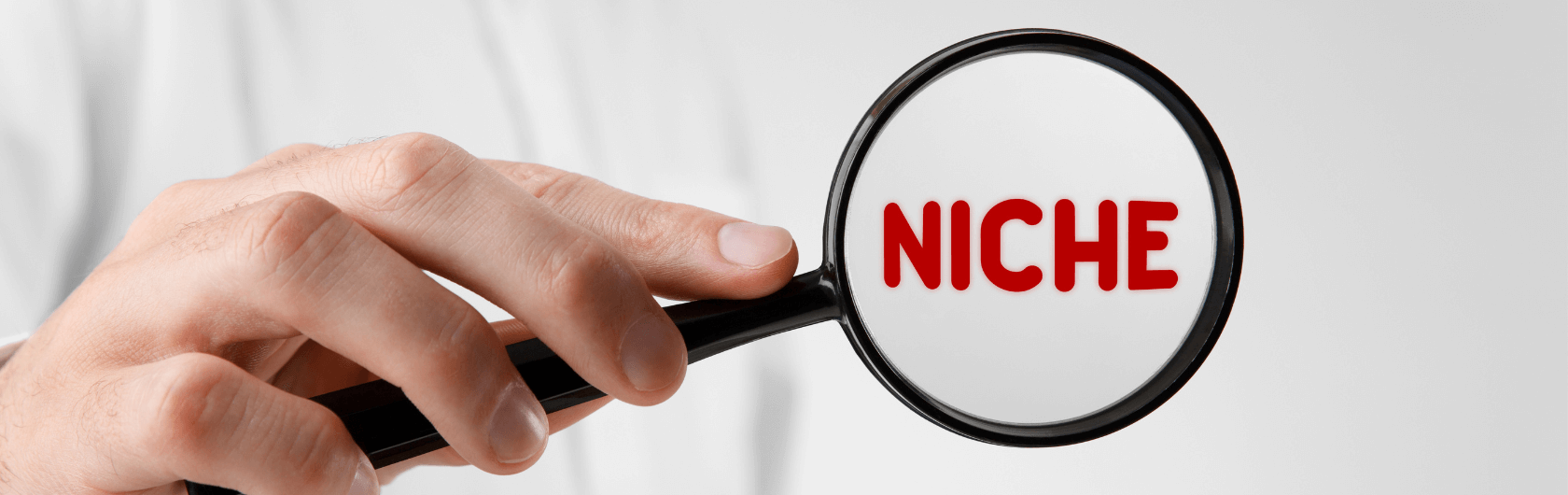نیچ مارکتینگ Niche Marketing