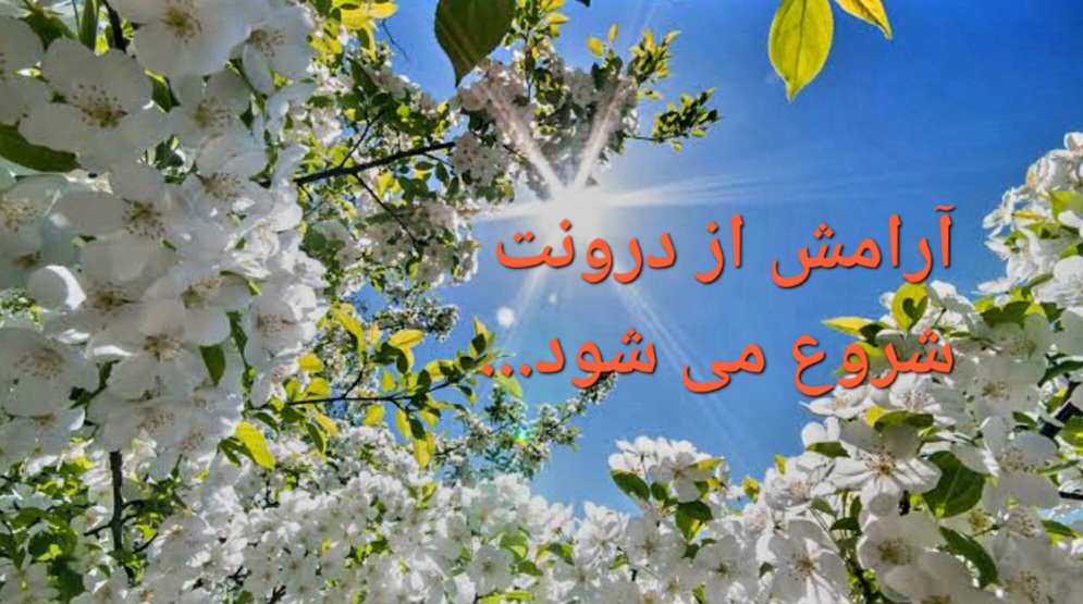 سودابه  شجاعی