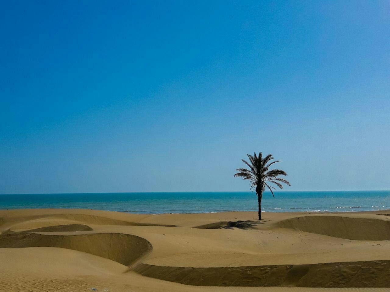 فریبا رحیمیان زاده