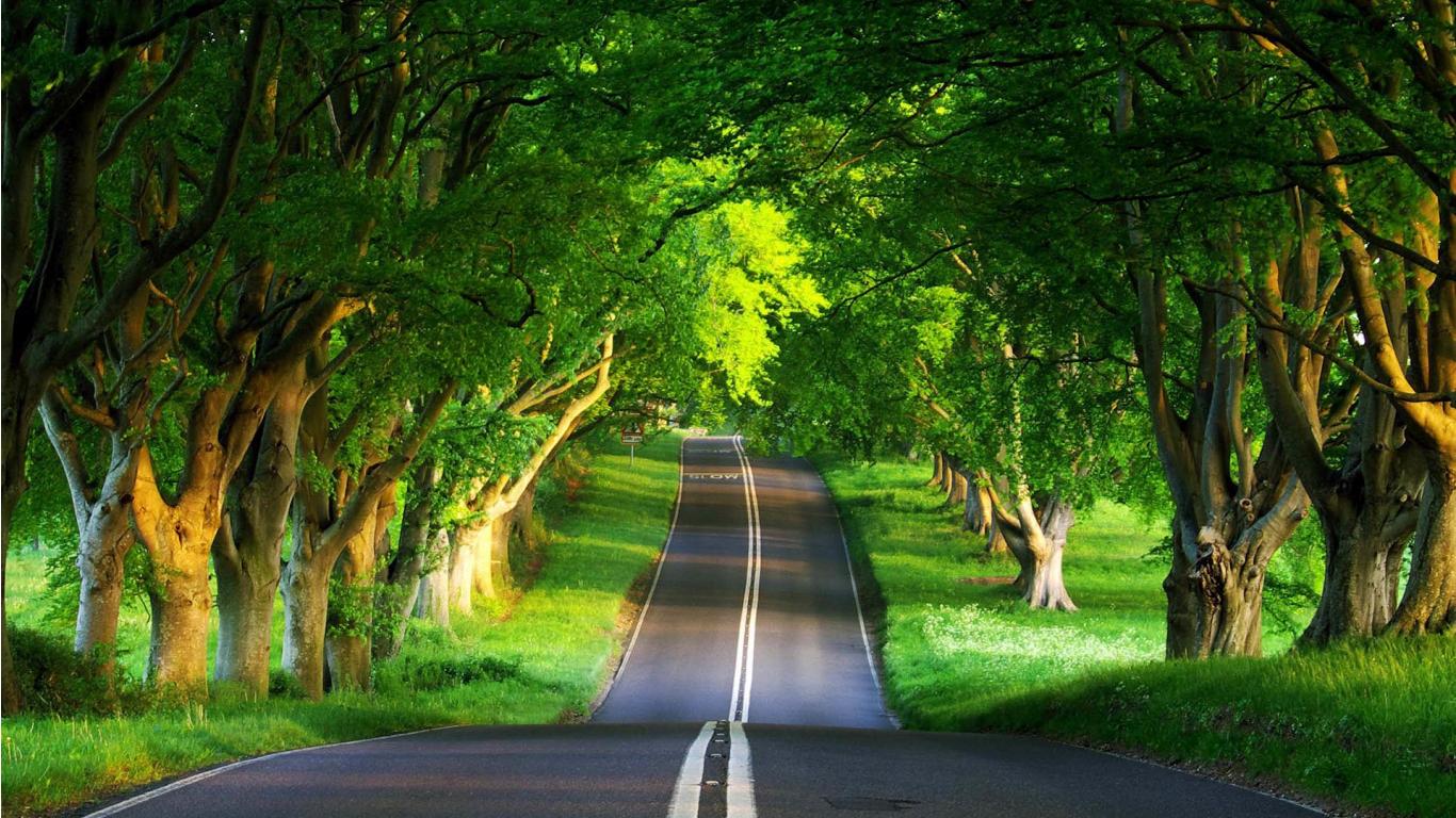 علیرضا محمدی