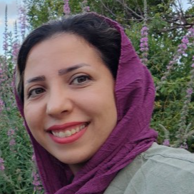 مینا نوری