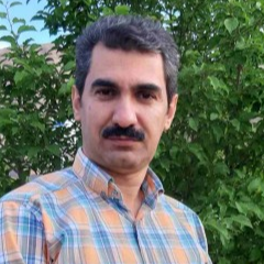 سید محمد فاتحی